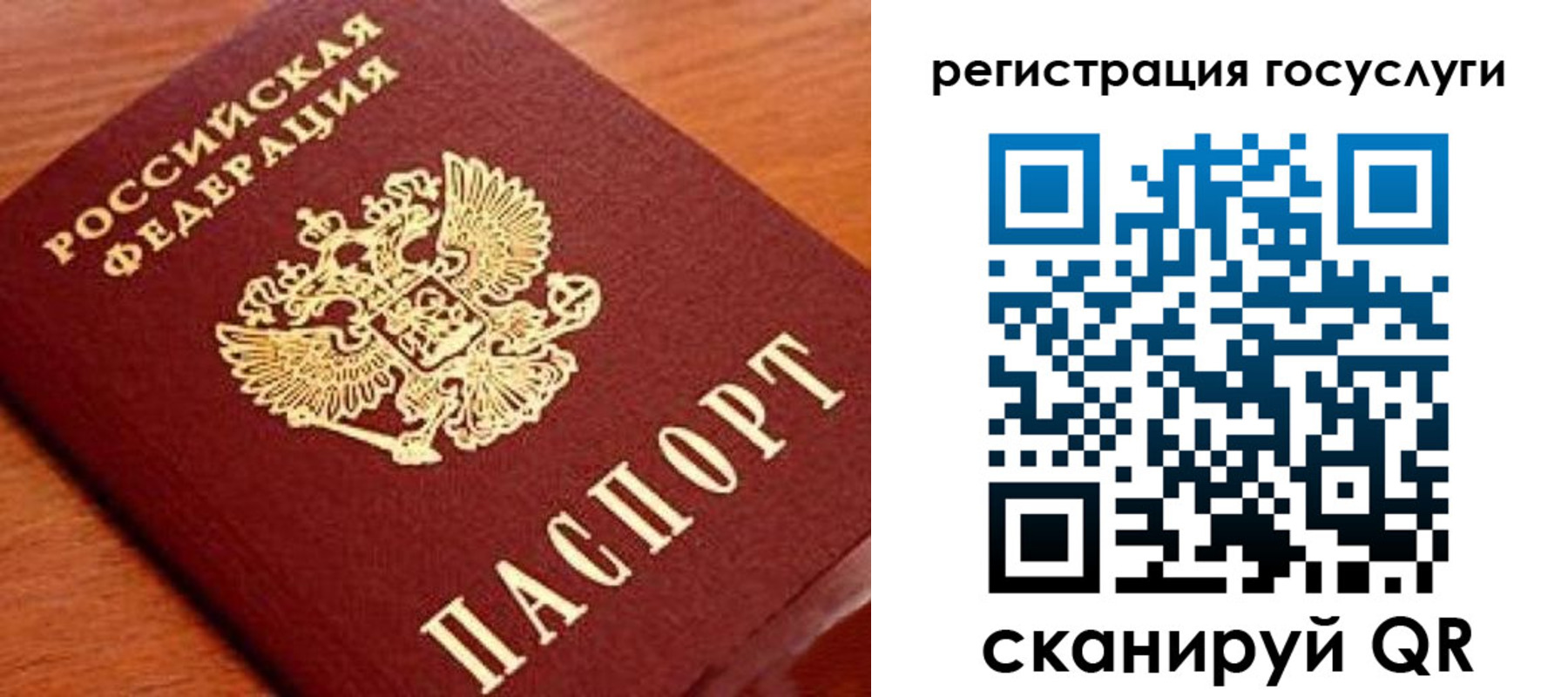 прописка иностранных граждан в Мытищах